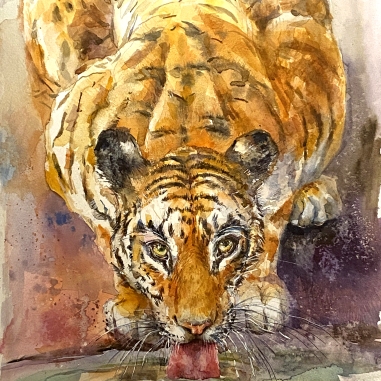 Painting for sale online - Tiger.