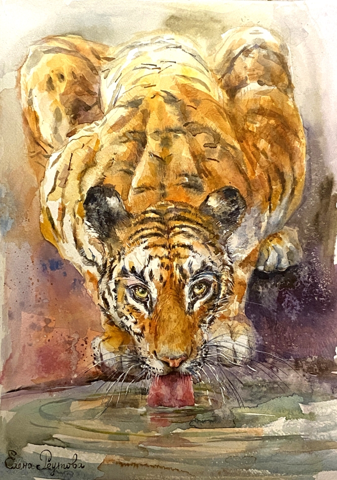 Painting for sale online - Tiger.
