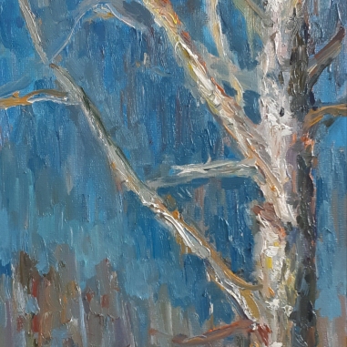 Painting for sale online - Birch-tree