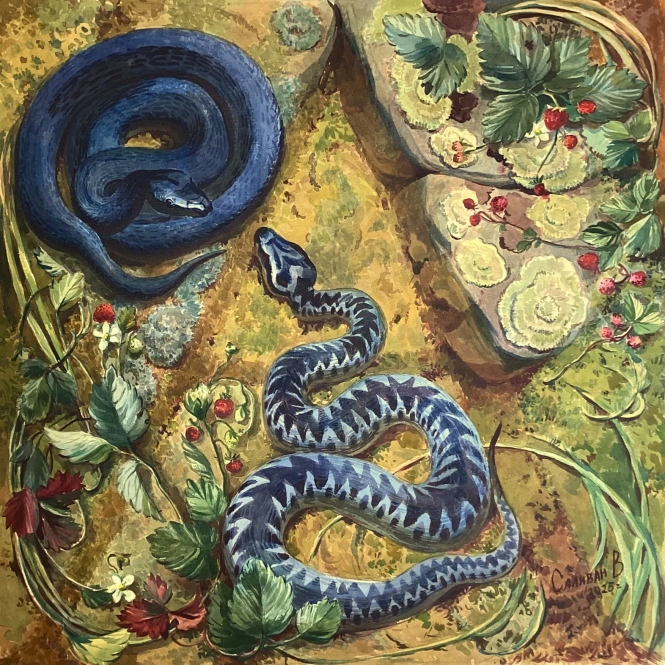 Painting for sale online - Гадюшник
