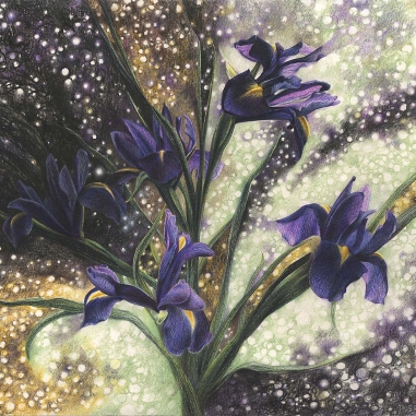Painting for sale online - CONSTELLATIONS. JANUARY IRISES