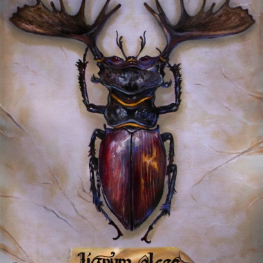 Painting for sale online - Moose-Cobbler Beetle