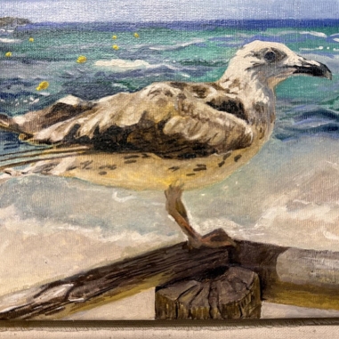 Painting for sale online - Seagull of Ses Eufabies