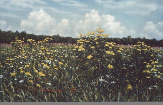 Painting for sale online - Field with tansy bushes