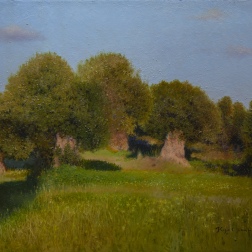 Painting for sale online - Ancient olive trees