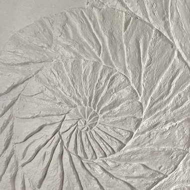 Painting for sale online - Ammonite