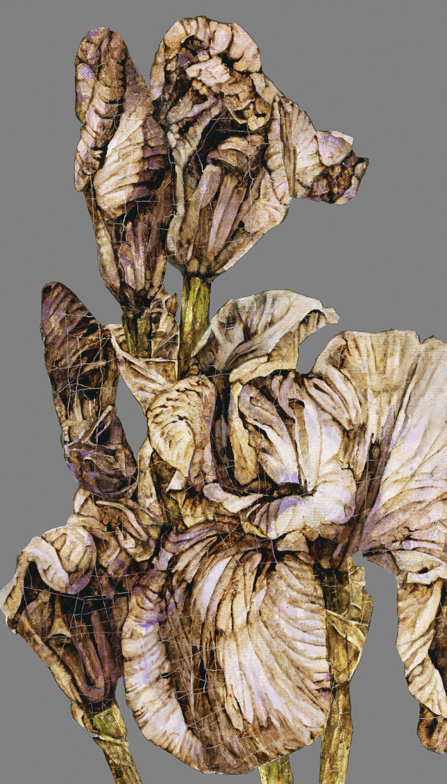 Painting for sale online - Code 05 Iris Algorithm