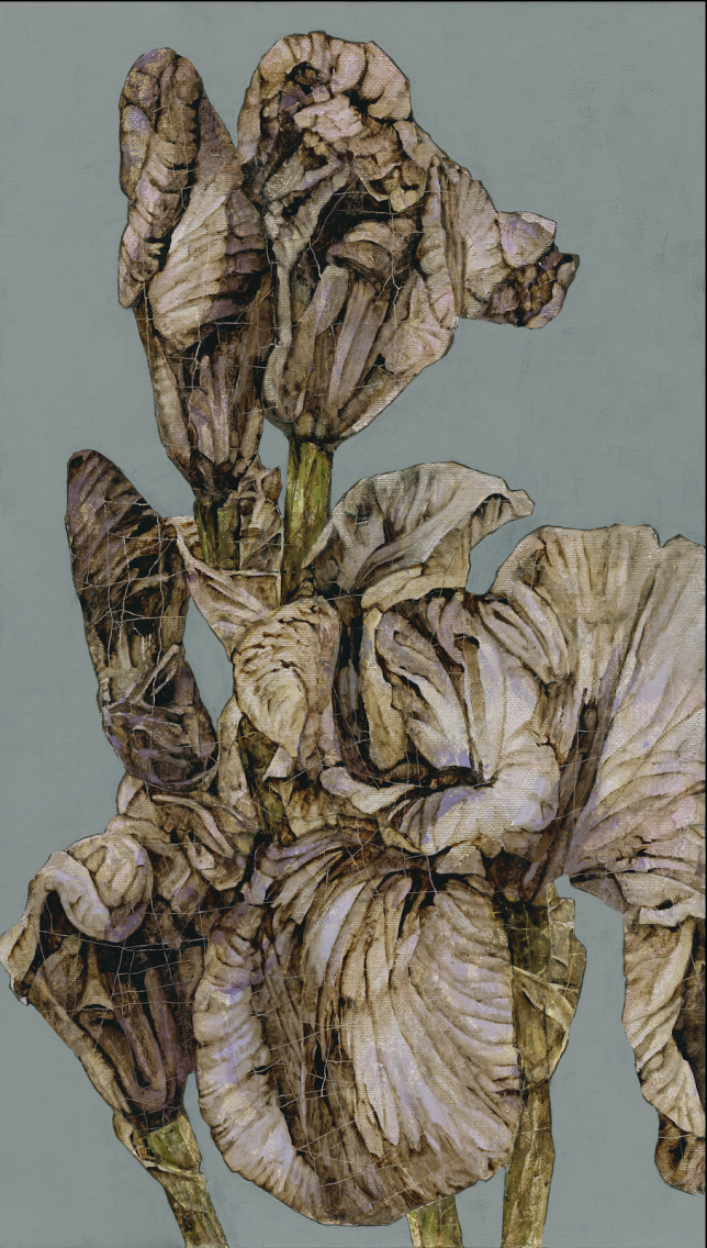Painting for sale online - Code 05 Iris Algorithm