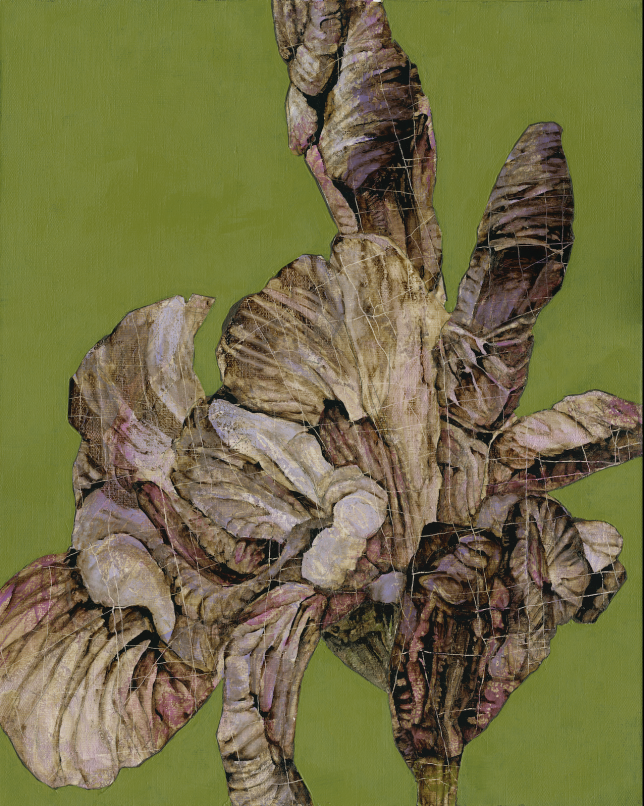 Painting for sale online - Code 06 Iris Algorithm