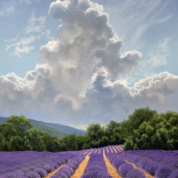 Painting for sale online - Valensole