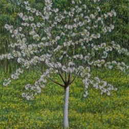 Painting for sale online - Cherry blossom on a dandelion field 