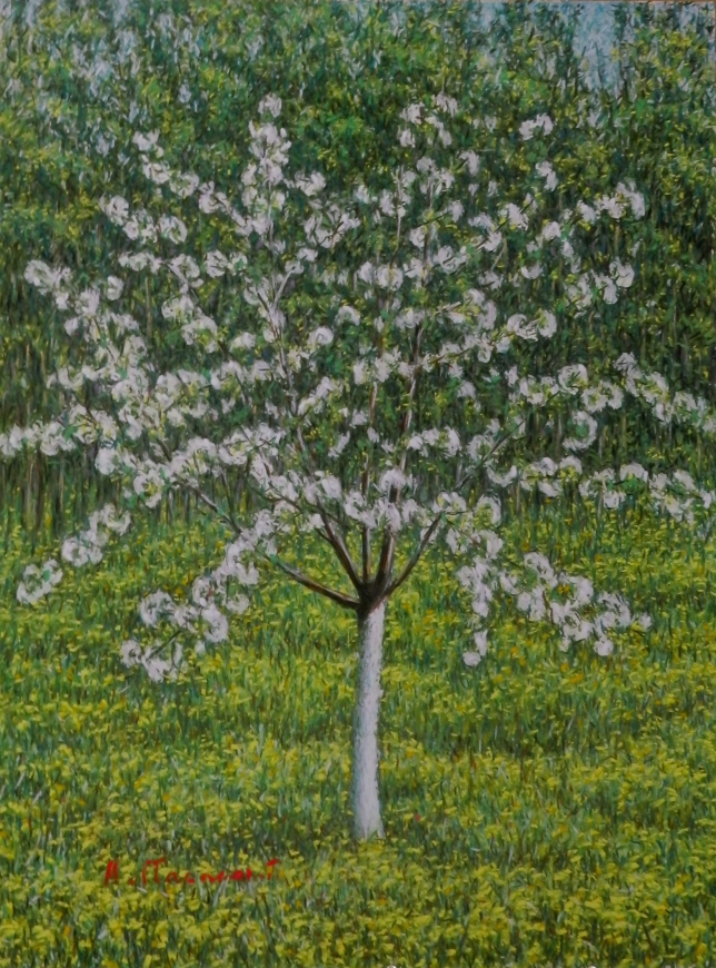 Painting for sale online - Cherry blossom on a dandelion field 