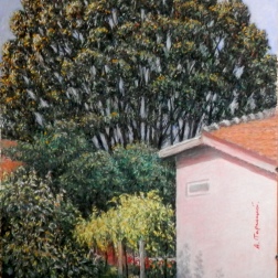 Painting for sale online - A large linden tree opposite my house 