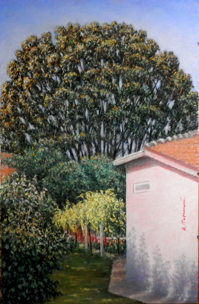 Painting for sale online - A large linden tree opposite my house 