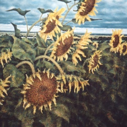 Painting for sale online - Big sunflowers Ozeritsy