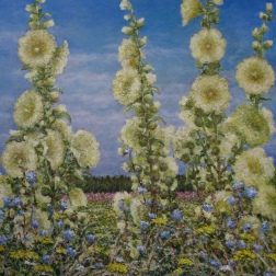 Painting for sale online - Mallow 2013 Hardboard Oil 86x65sm 