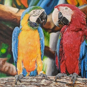 Painting for sale online - Five parrots or a couple