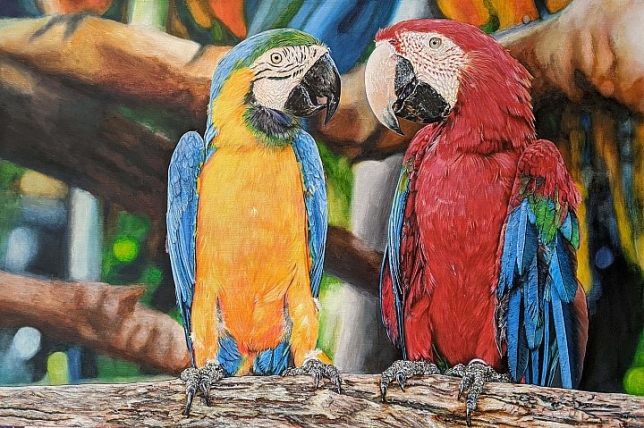 Painting for sale online - Five parrots or a couple