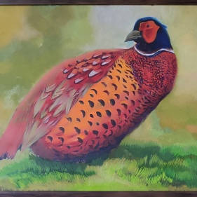 Painting for sale online - Pheasant