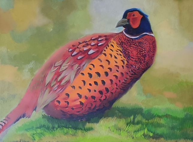 Painting for sale online - Pheasant