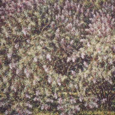 Painting for sale online - A lilac bush illuminated by the sun 
