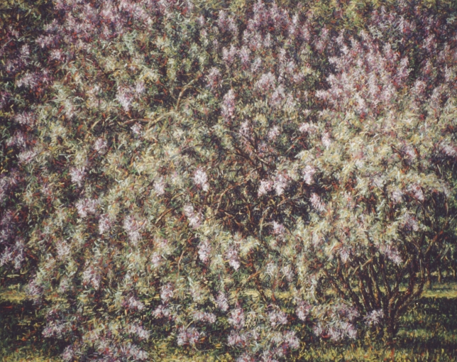 Painting for sale online - A lilac bush illuminated by the sun 