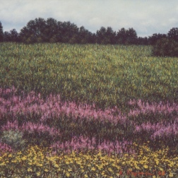 Painting for sale online -  Ivan-tea A field near Borodino