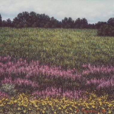 Painting for sale online -  Ivan-tea A field near Borodino