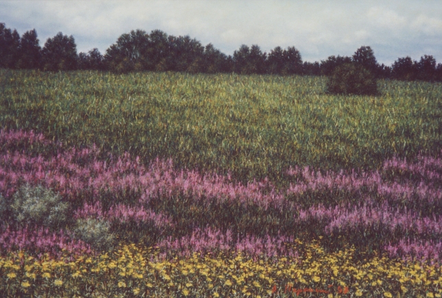 Painting for sale online -  Ivan-tea A field near Borodino