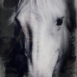 Painting for sale online - White Horse of Success