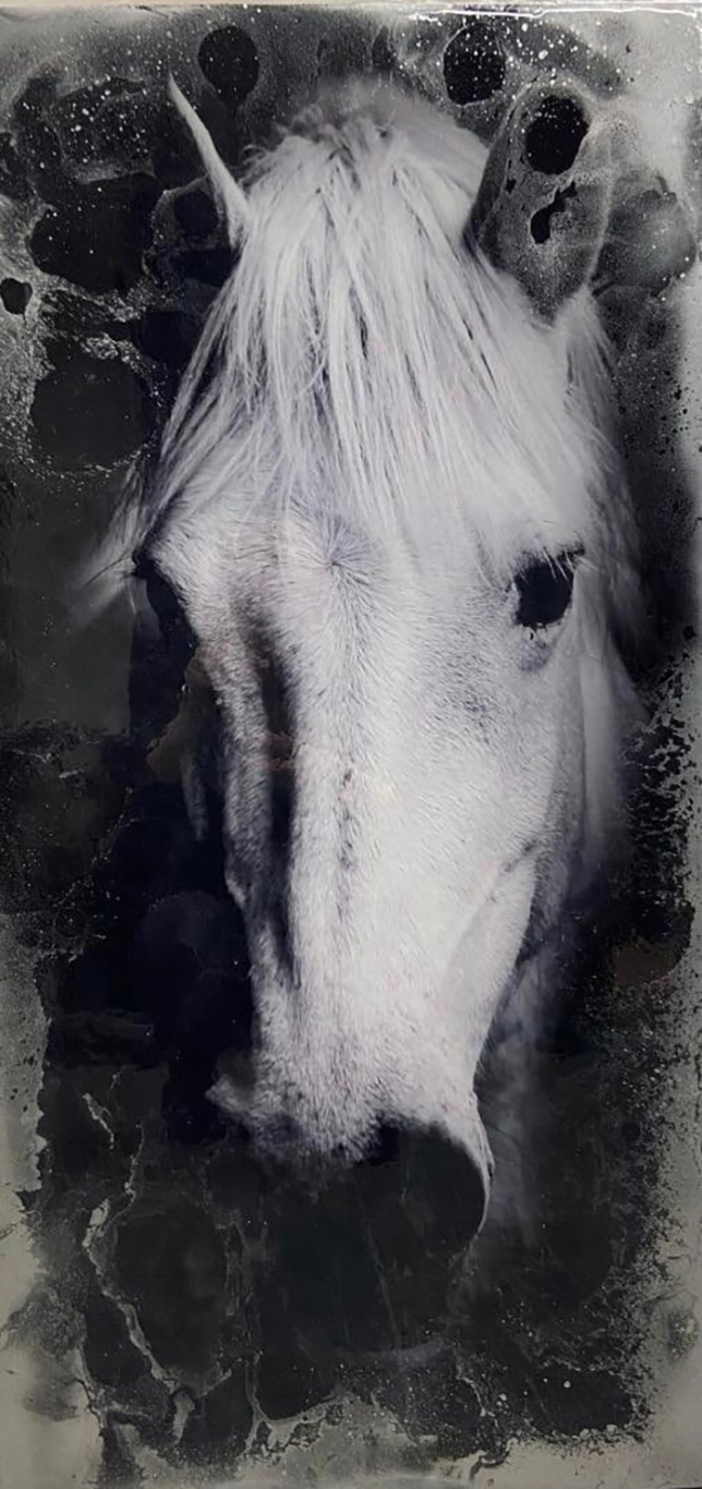 Painting for sale online - White Horse of Success