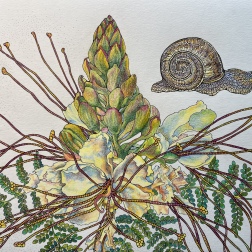 Painting for sale online - About Spring and More