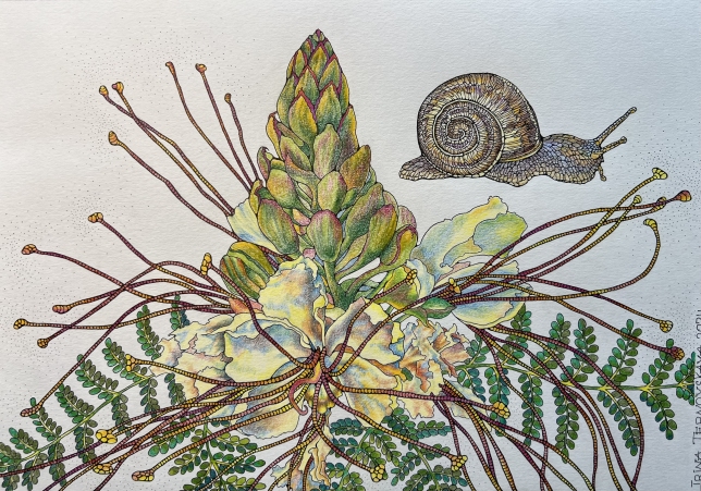 Painting for sale online - About Spring and More