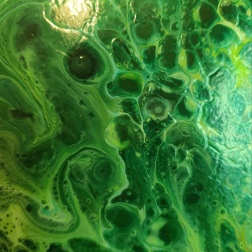 Painting for sale online - Underwater