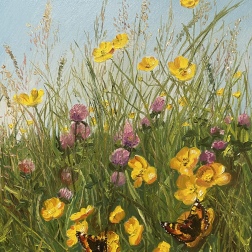 Painting for sale online - Buttercups-flowers