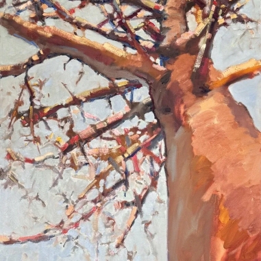 Painting for sale online - Baobab Madagascar