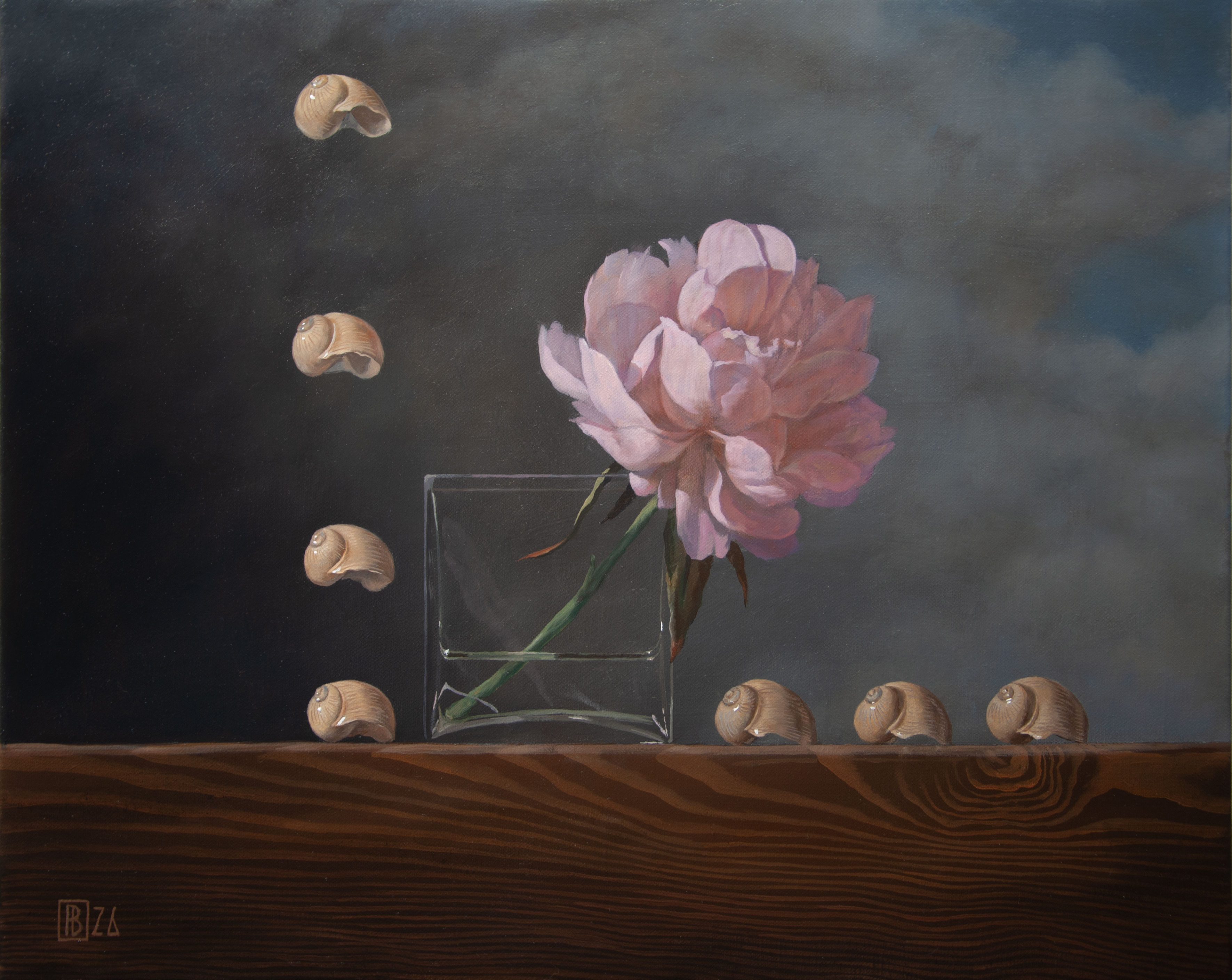 Pink peony